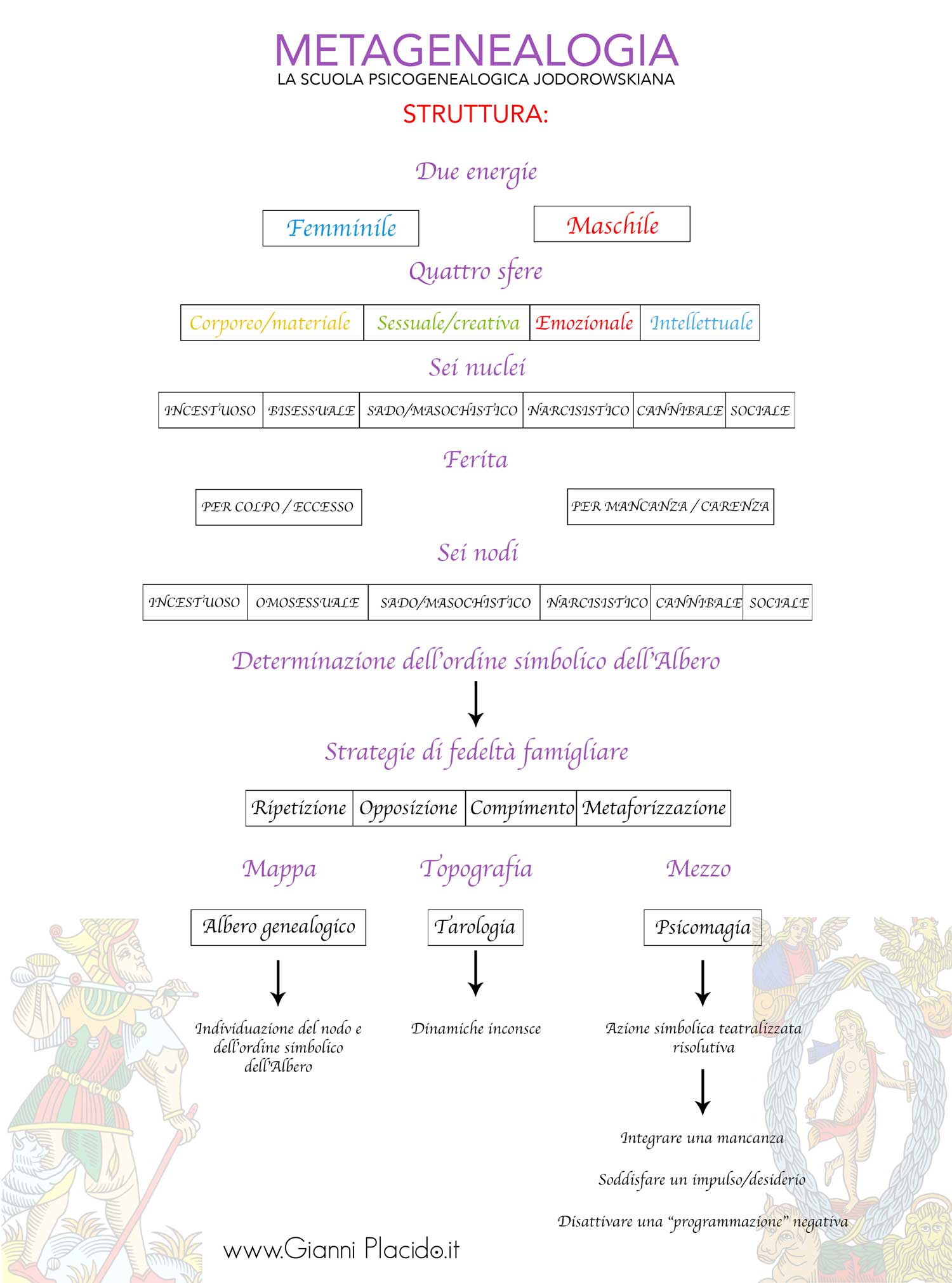 Metagenealogia struttura